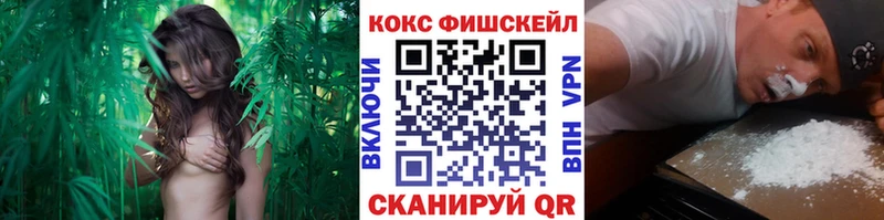 KRAKEN   Певек  Cocaine 99% 