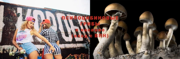 прущие крисы Богородицк