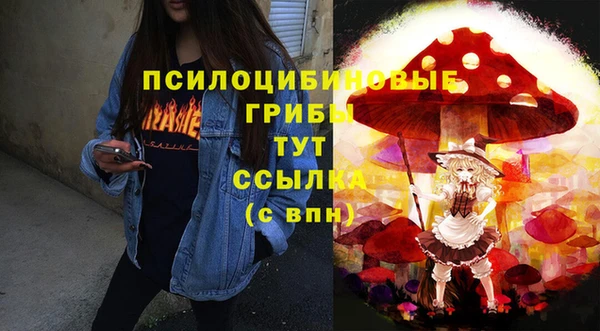 прущие крисы Богородицк