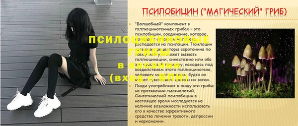 прущие крисы Богородицк