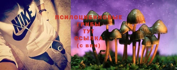 кокаин Богданович