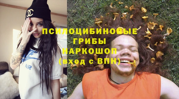 не бодяженный Арсеньев