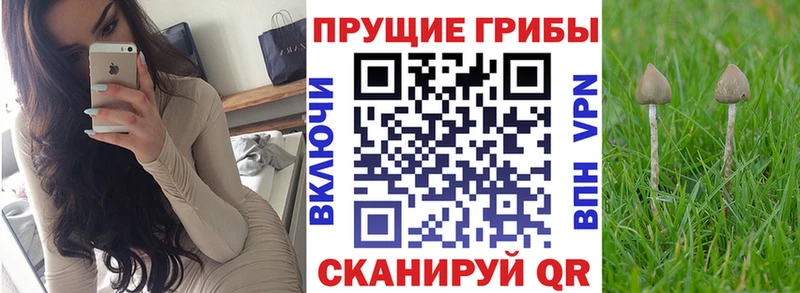Псилоцибиновые грибы мицелий  Певек 
